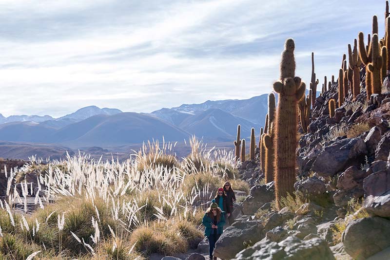 Guatin Gatchi Valley - Tierra Atacama